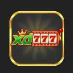 xd777 game